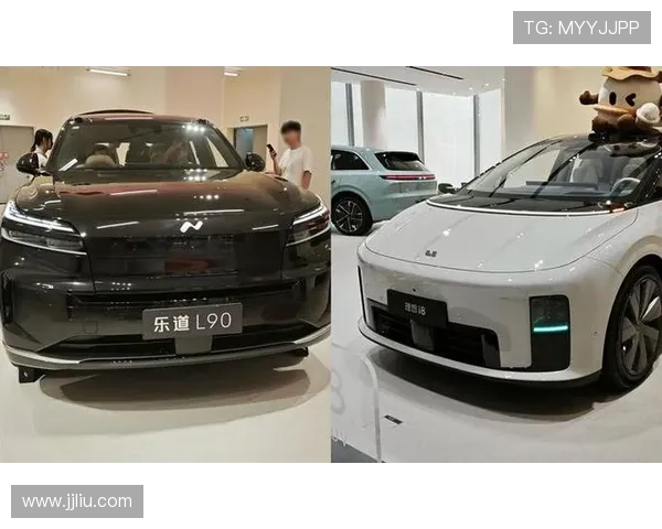i8国际引领多元娱乐新体验打造安全便捷互动平台满足用户品质需求